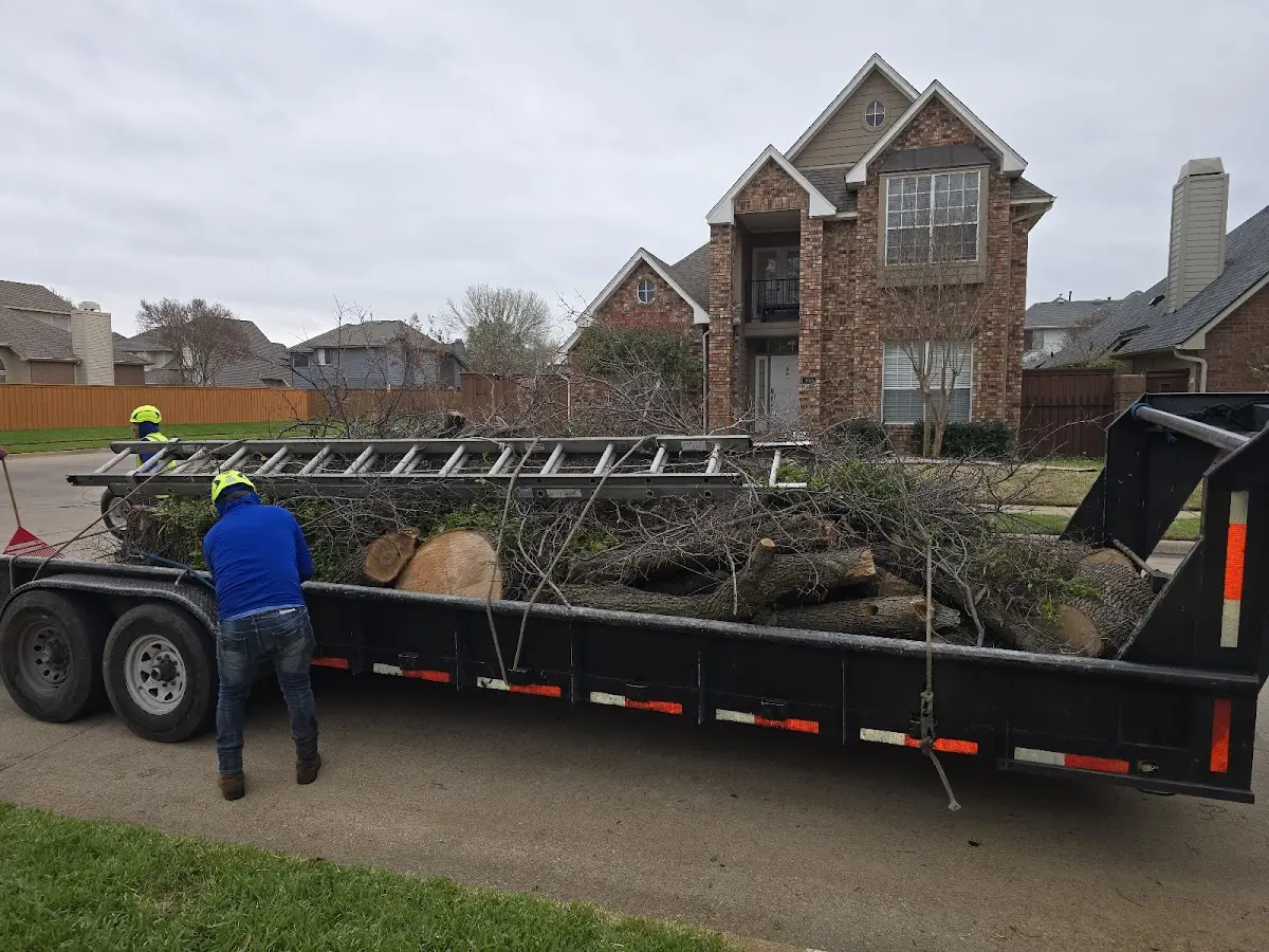 Expert Lot Clearing with proper safety equipment in Taylor